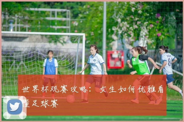 世界杯观赛攻略：女生如何优雅看懂足球赛