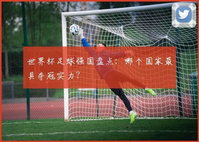 世界杯足球强国盘点：哪个国家最具夺冠实力？