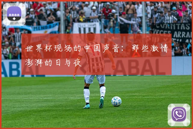 世界杯现场的中国声音：那些激情澎湃的日与夜
