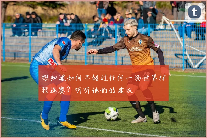 想知道如何不错过任何一场世界杯预选赛？听听他们的建议