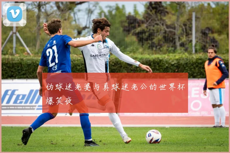 伪球迷老婆与真球迷老公的世界杯爆笑夜