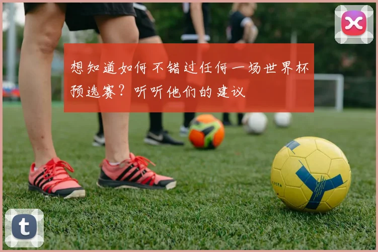 想知道如何不错过任何一场世界杯预选赛？听听他们的建议