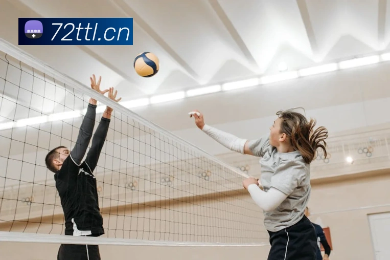 App Interface Preview