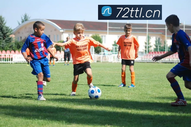 爱游戏ayx官方网登录APP 封面图